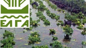 EΛΓΑ: 2,7 εκατ. ευρώ σε 106 δικαιούχους στη Λάρισα